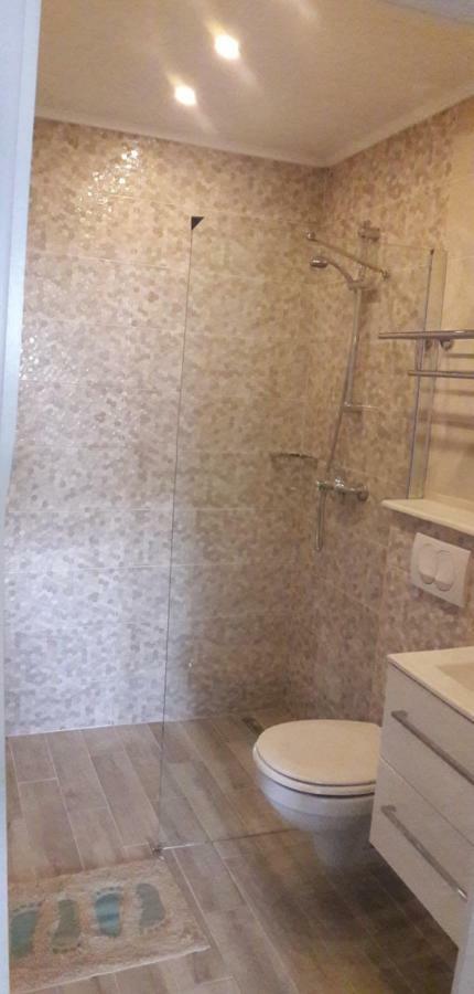 Apartments Villa Antony ドルヴェニク エクステリア 写真